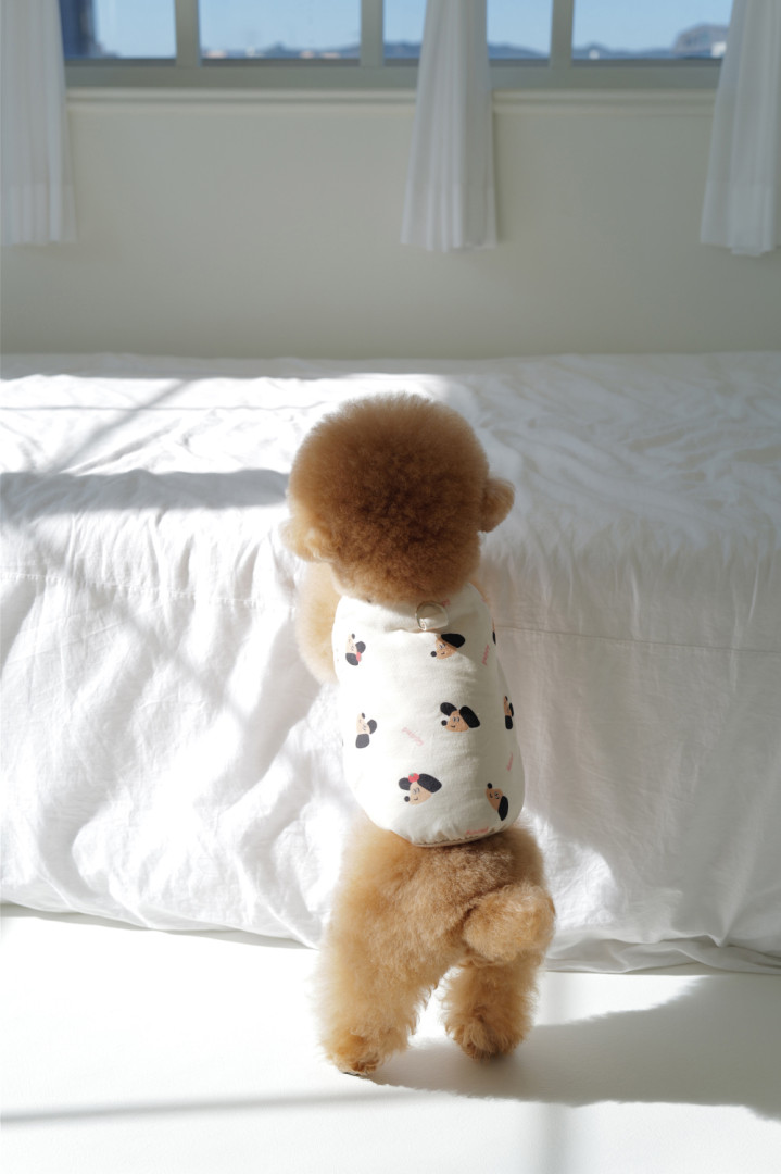 PTFIT-1對1私人教練